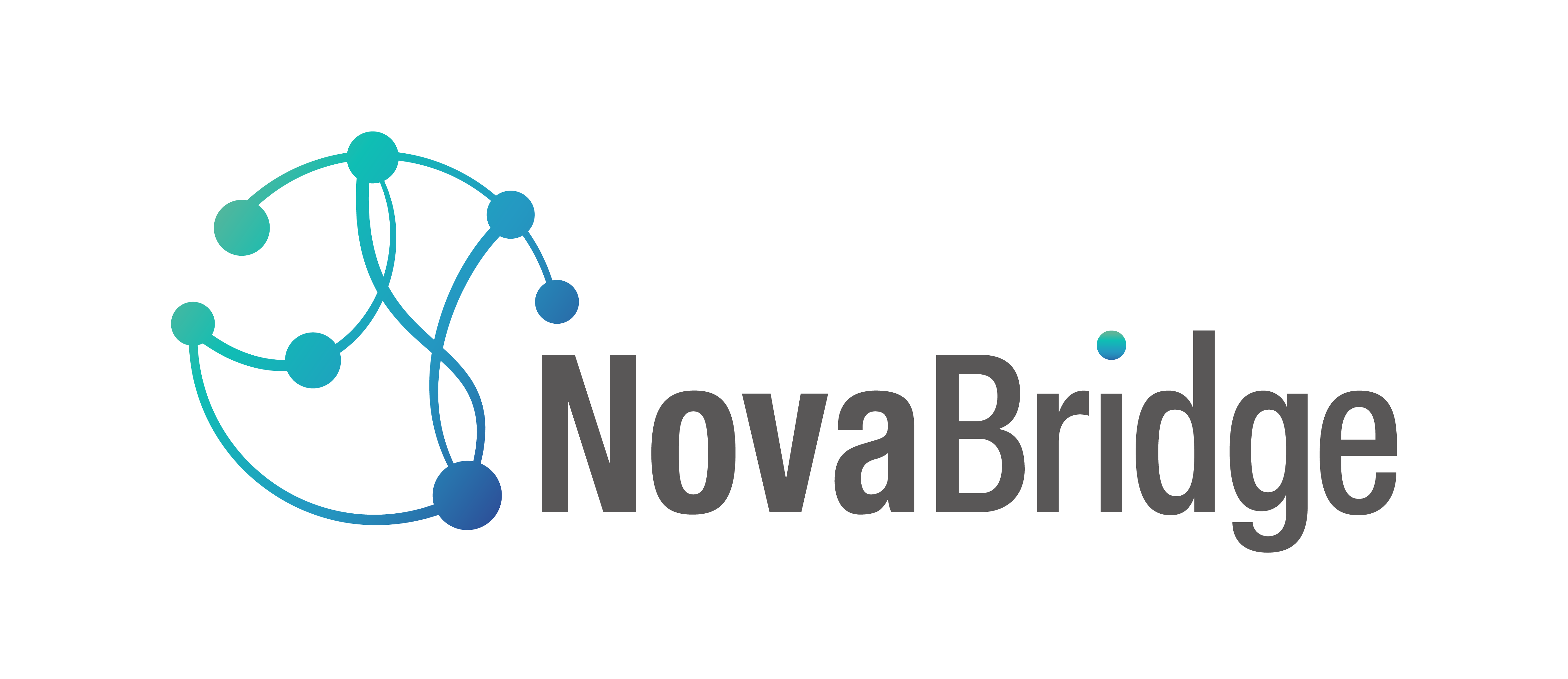 Go to  NovaBridge Biosciences logo